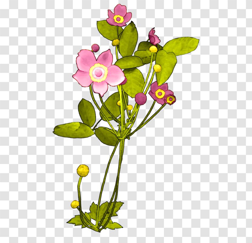 Design Image Plants Adobe Photoshop - Pedicel - Plant Stem Transparent PNG