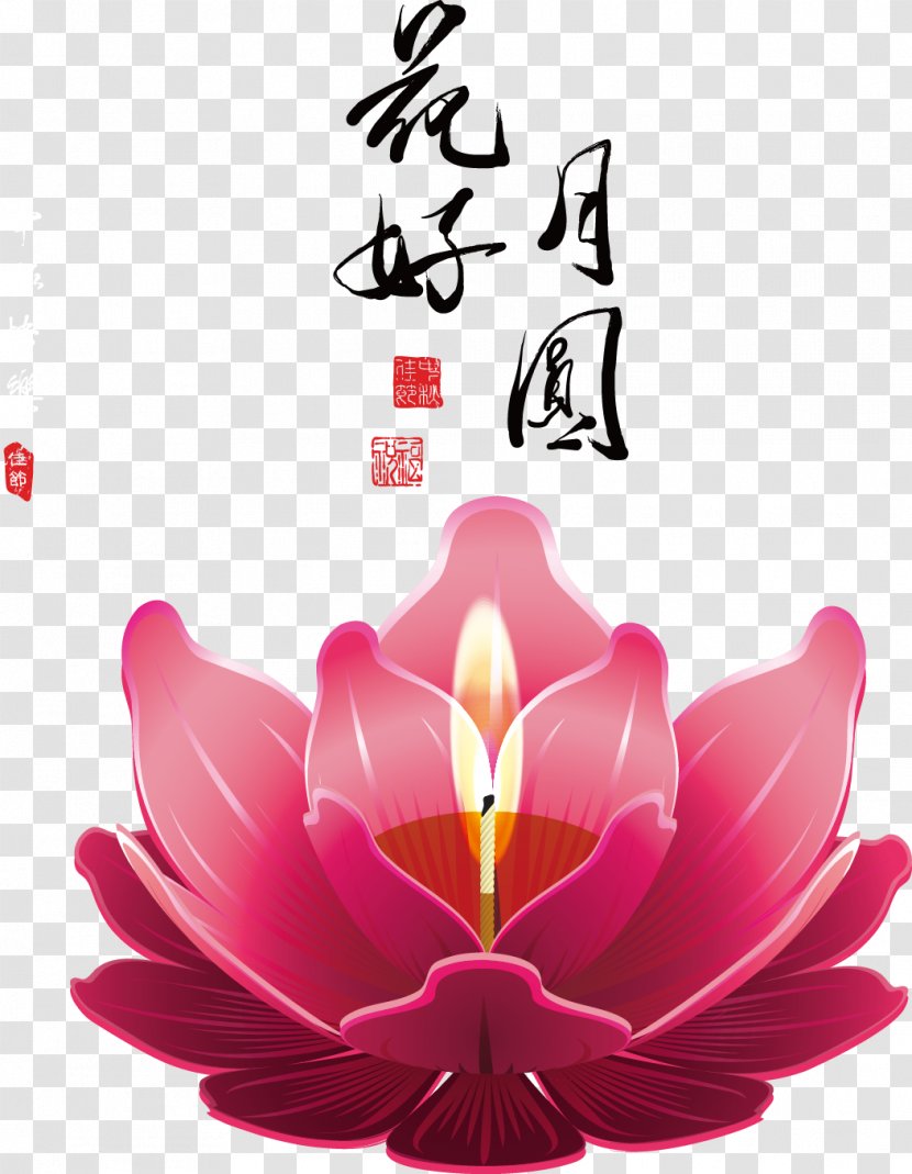 China Mid-Autumn Festival - Mid Decorative Lotus Lamp Transparent PNG