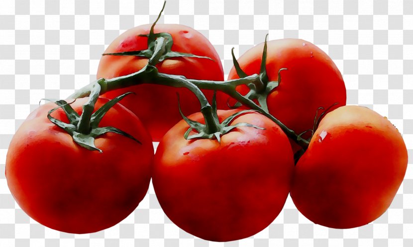 Plum Tomato Bush Superfood - Natural Foods Transparent PNG