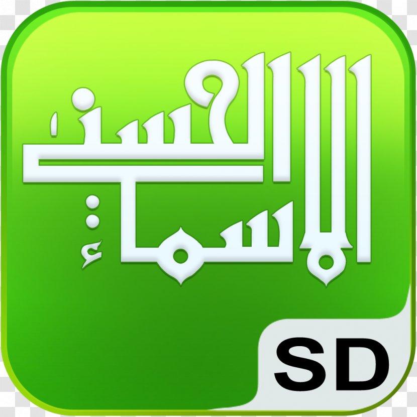 Qur'an Names Of God In Islam Allah Muslim - Grass Transparent PNG