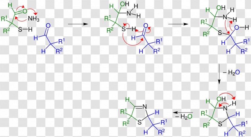 Asinger Reaction Thiazoline Chemical Aldehyde Sulfur - Mecanism Transparent PNG