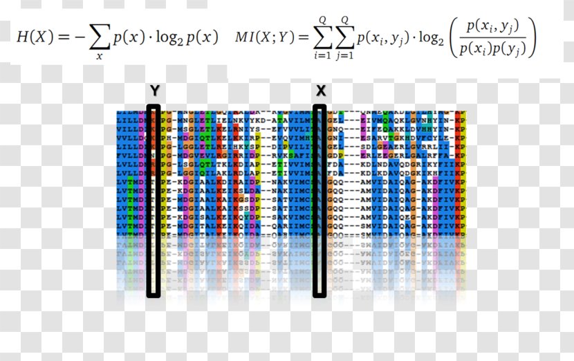 Graphic Design Brand Pattern - Rectangle Transparent PNG