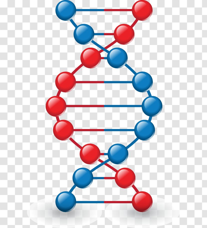 Icon - Symbol - DNA Vector Model Transparent PNG