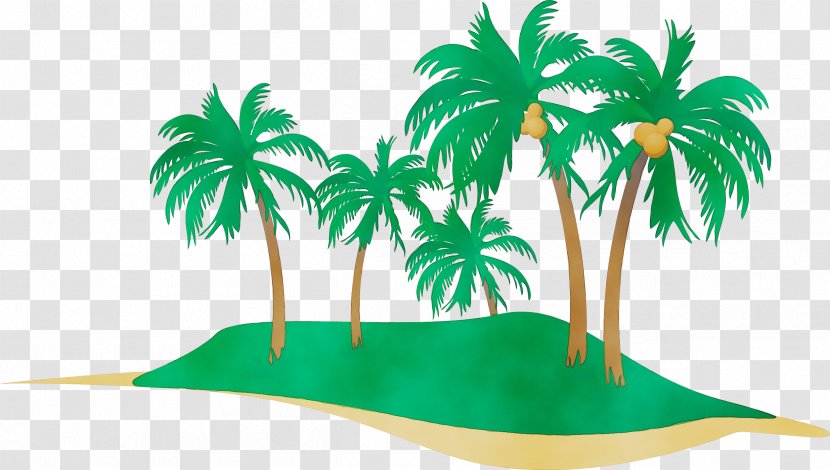 Palm Tree - Coconut Woody Plant Transparent PNG