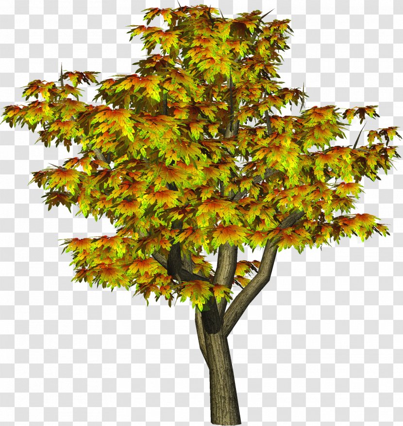 Tree Autumn Clip Art - Maidenhair - Clipart Transparent PNG