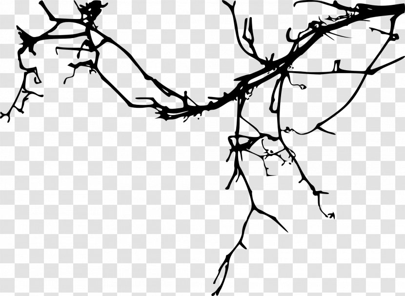 Tree Branch Silhouette Drawing - Watercolor Transparent PNG