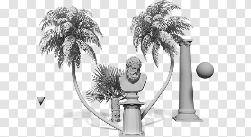Palm Trees Product Design Animated Cartoon - Plant - Fireworks Festival Transparent PNG