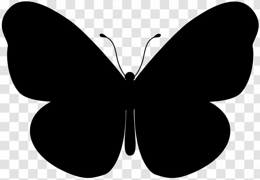 Butterfly Illustration Desktop Wallpaper - Moths And Butterflies - Royaltyfree Transparent PNG