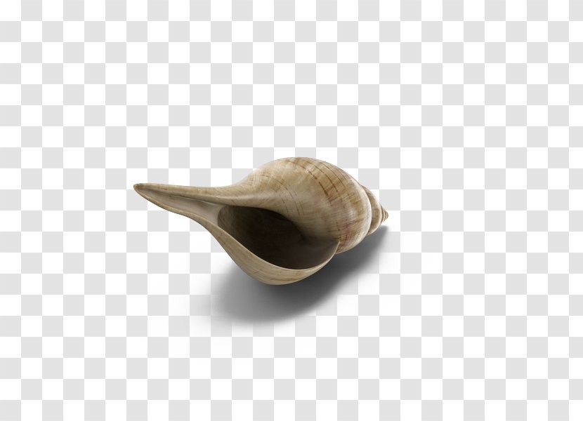 Cockle Clam Download - Spoon - Tulip Shell Transparent PNG