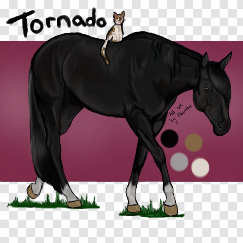 Stallion Mustang Foal Mare Colt - Mane Transparent PNG