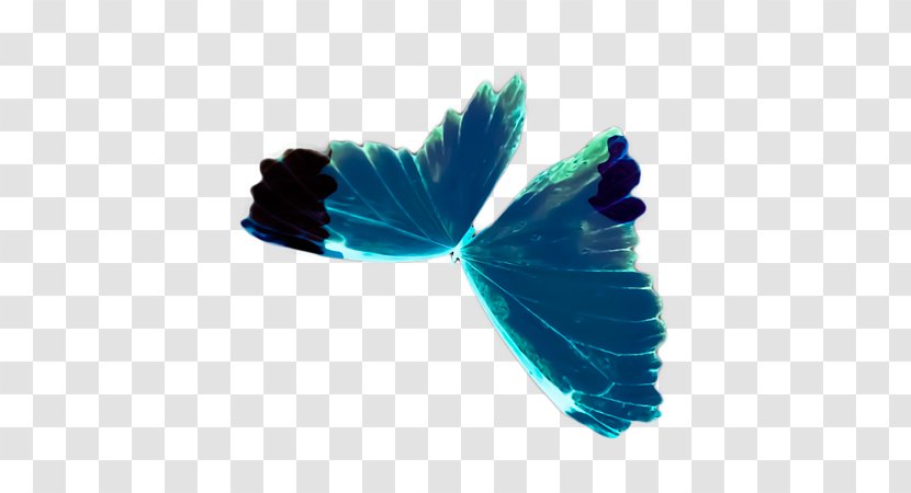 Turquoise - Pollinator - Heather Transparent PNG