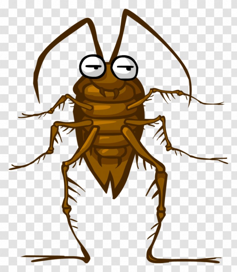 American Cockroach Milk Beer Food - Fly Transparent PNG