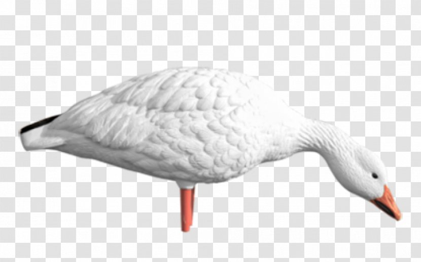 Snow Goose Duck Cygnini Decoy - Motion System Transparent PNG