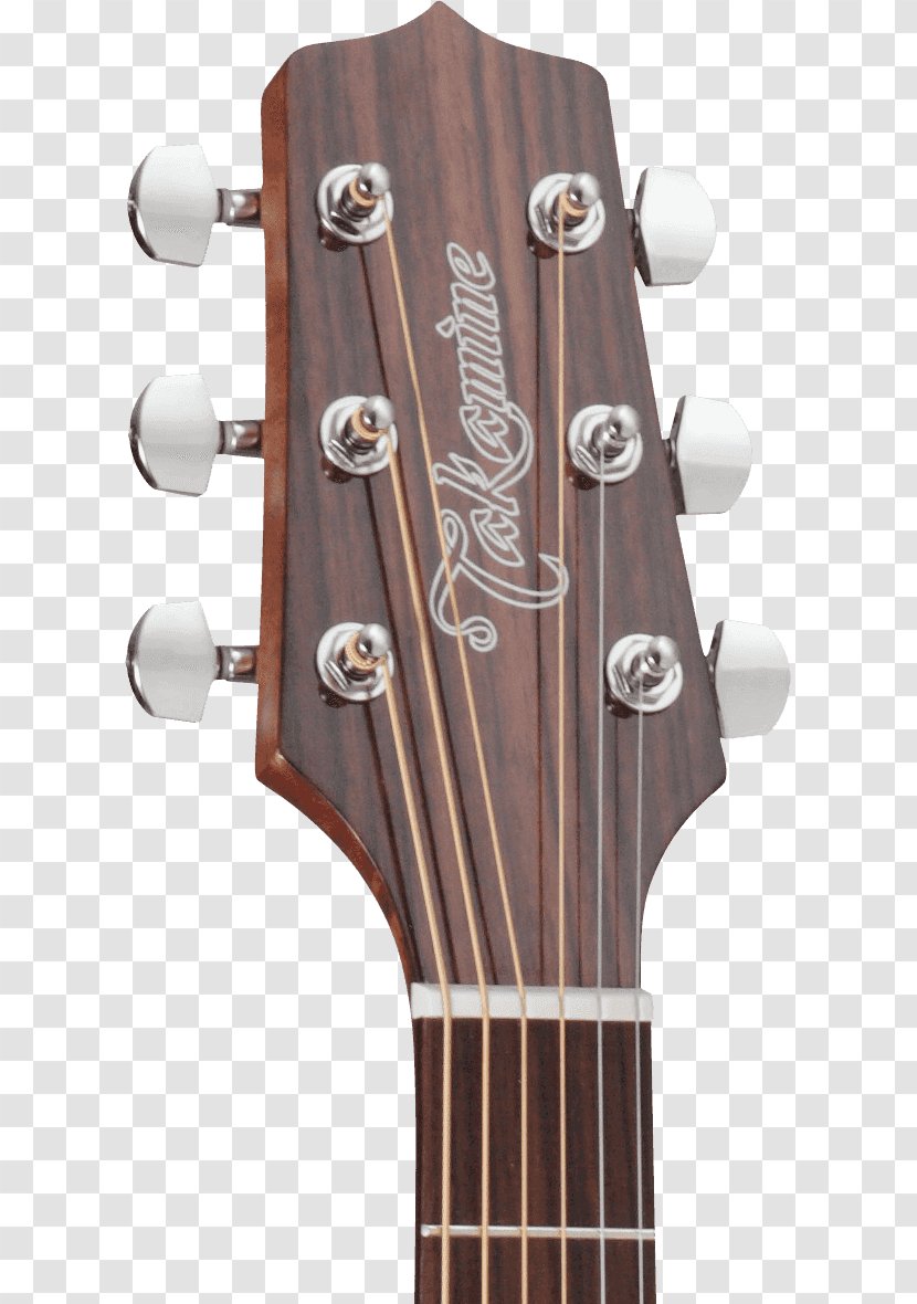 Acoustic-electric Guitar Acoustic Takamine Guitars Classical - Frame Transparent PNG