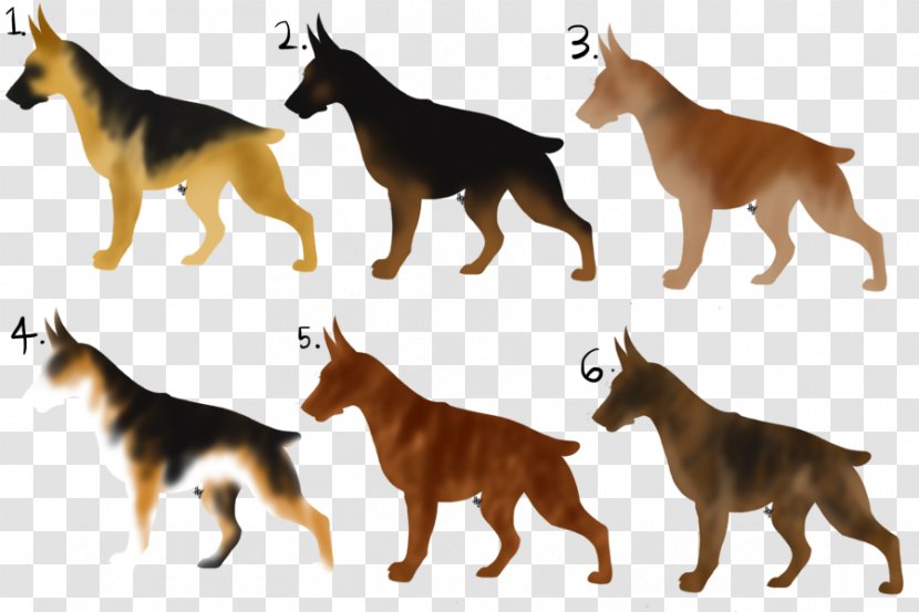 Dog Breed Fauna Wildlife Transparent PNG