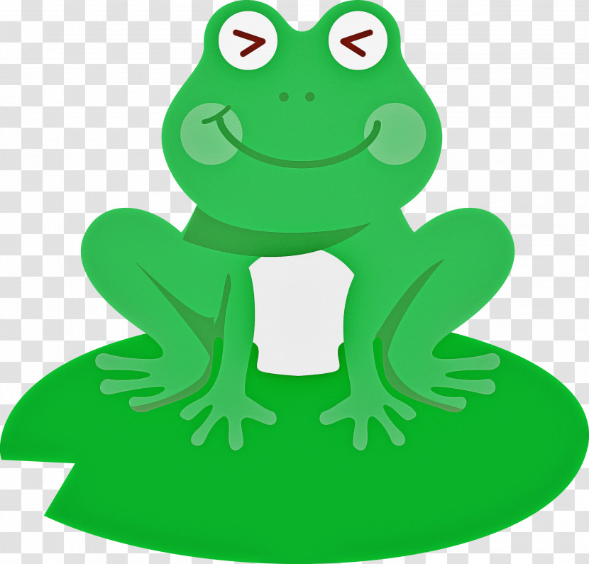 True Frog Frogs Tree Frog Toads Toad Transparent PNG