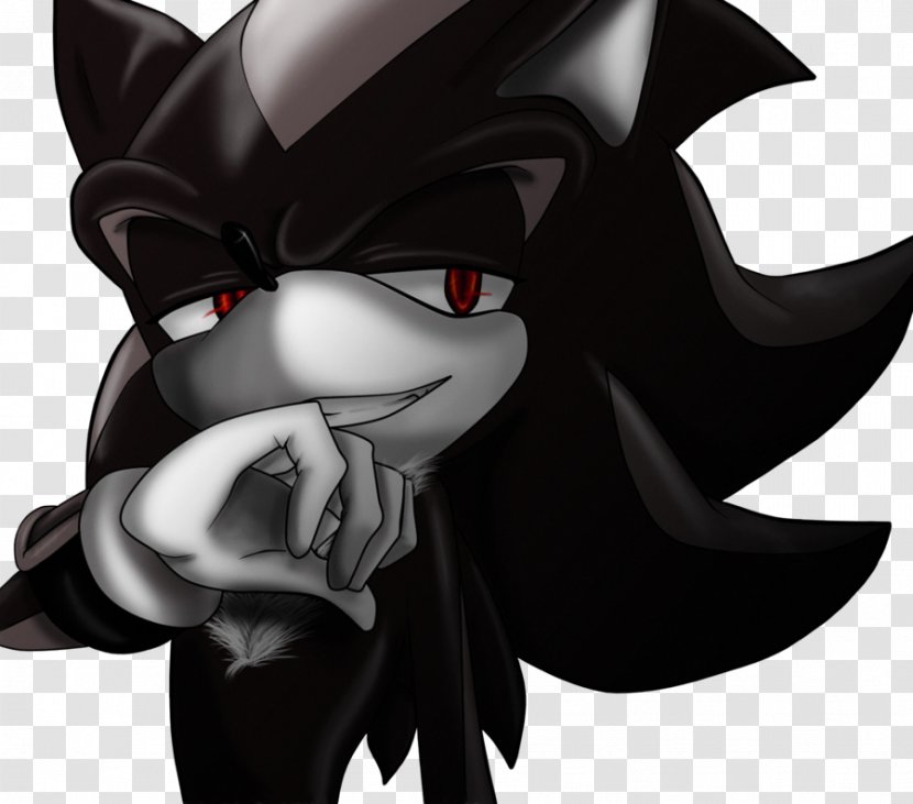 Shadow The Hedgehog Amy Rose Sonic Knuckles Echidna - Vertebrate - And Black Knight Rouge Transparent PNG