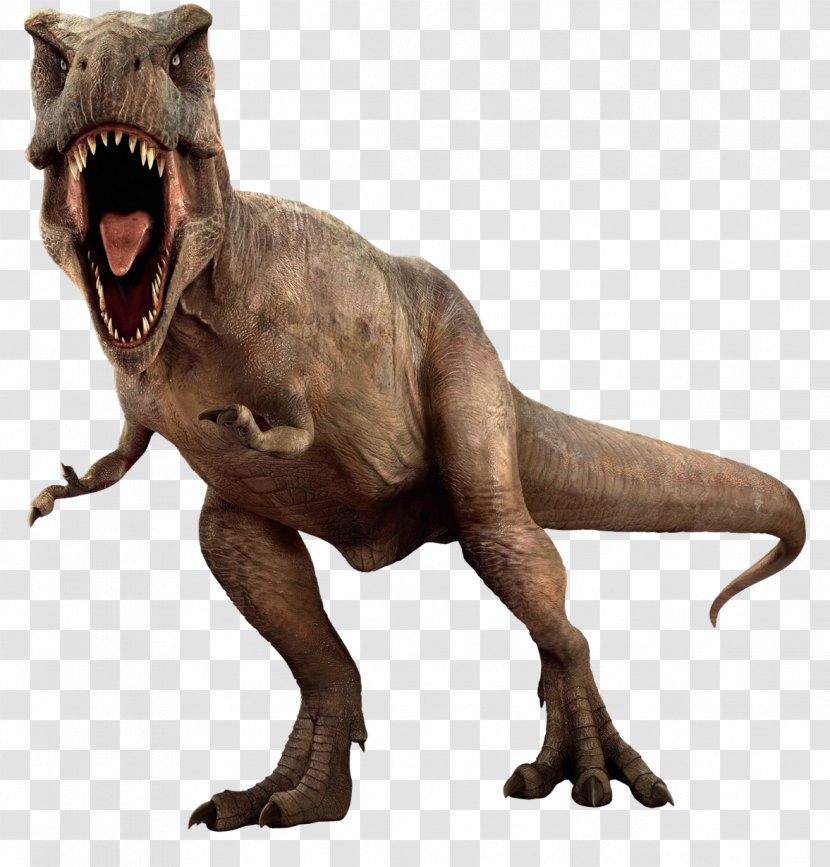 Tyrannosaurus Dinosaur Triceratops Transparent PNG