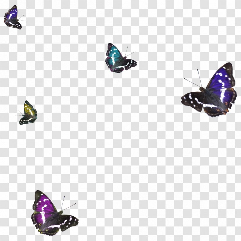 Butterfly 1080p High-definition Television Clip Art - Wing Transparent PNG