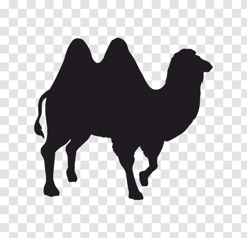 Silhouette Camel Black And White - Stock Photography Transparent PNG
