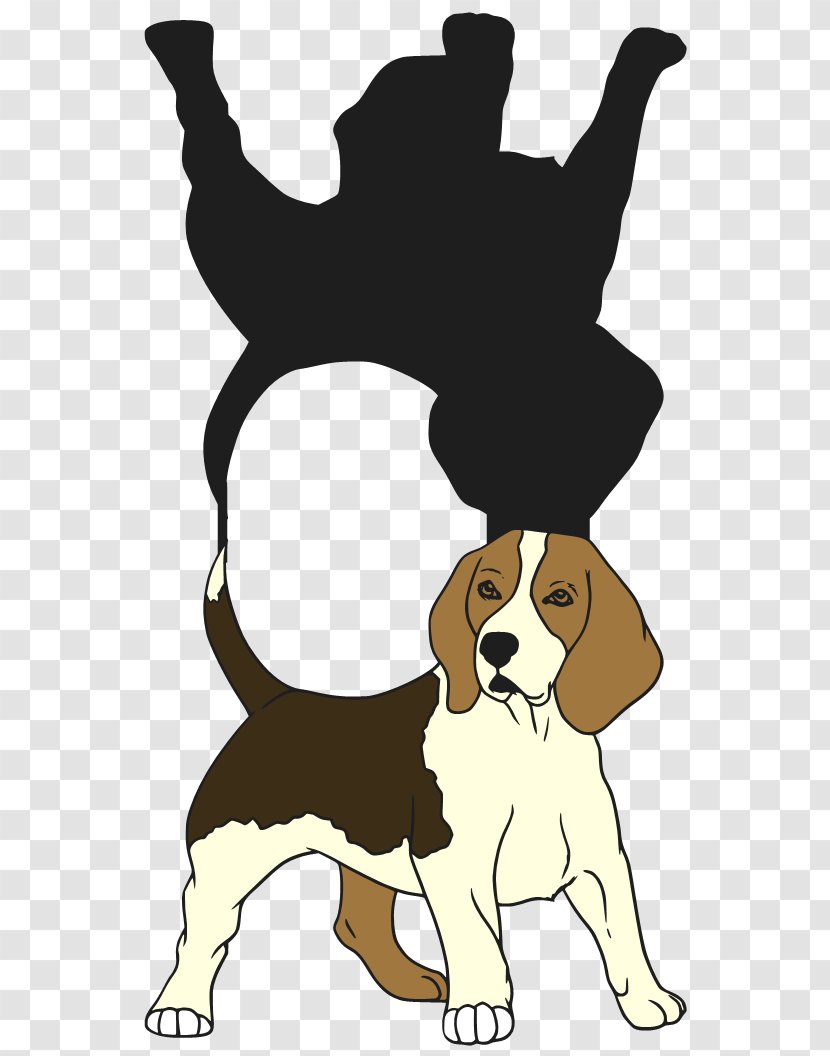Puppy Dog Breed Beagle Toy Poodle - Like Mammal Transparent PNG