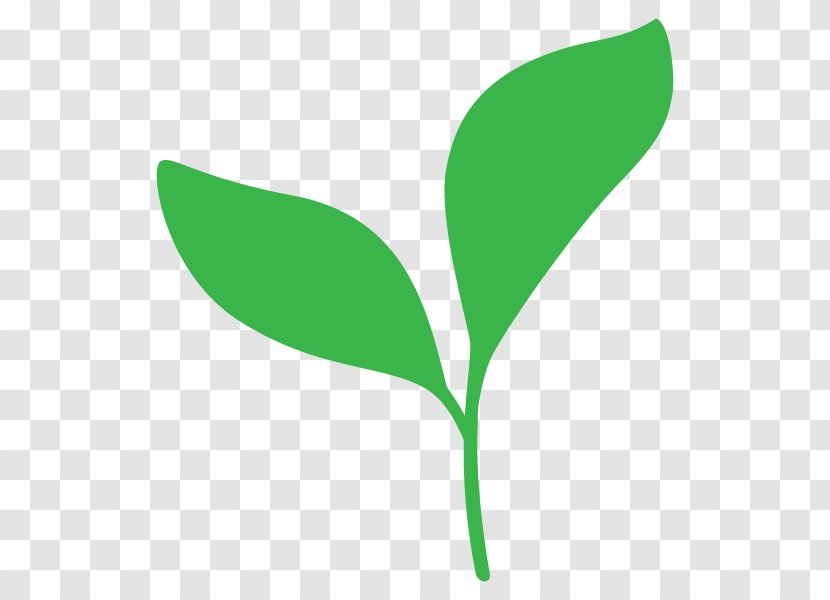 Leaf Illustration Bud Plants Plant Stem - Tree Transparent PNG