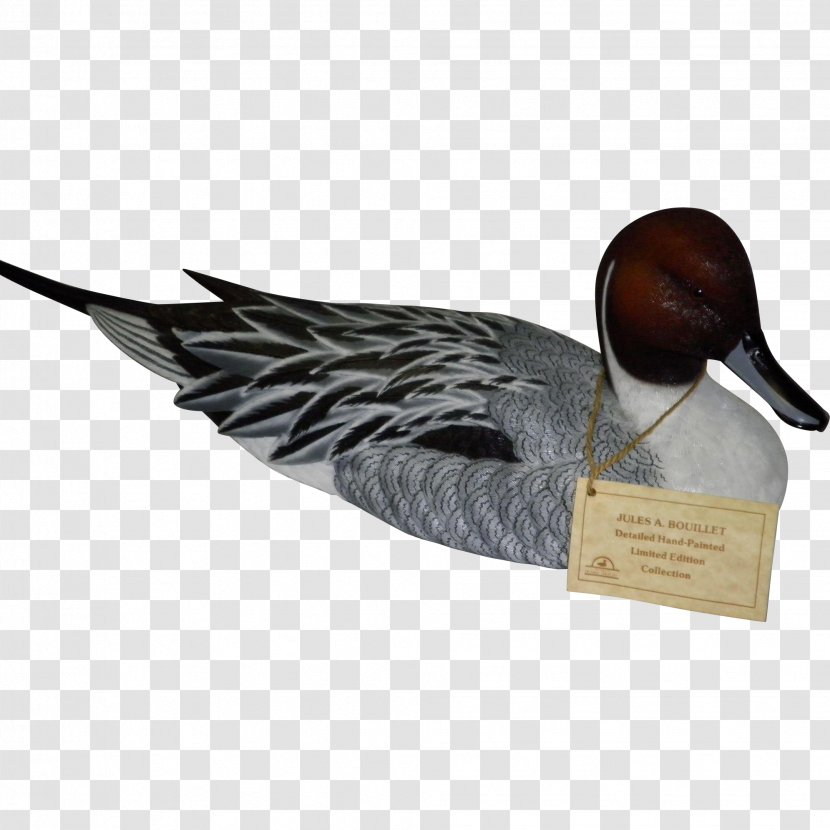 Duck Goose Feather Beak - Wing Transparent PNG