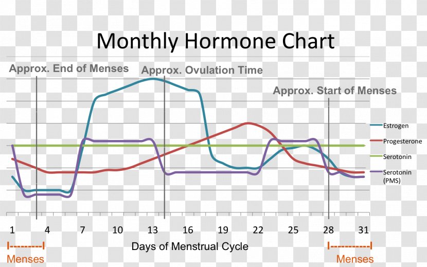 Menstrual Cycle Menstruation Premenstrual Syndrome Hormone Estrogen - Woman Transparent PNG