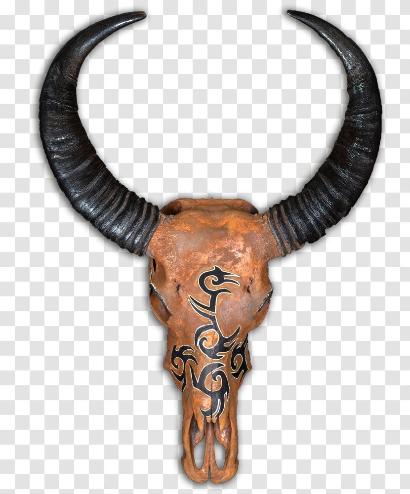 Cattle Horn Skull Artist Animal Transparent PNG