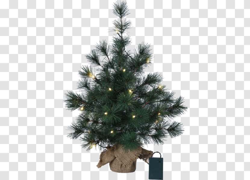 Spruce Christmas Tree Fir Ornament - Evergreen - City-service Transparent PNG