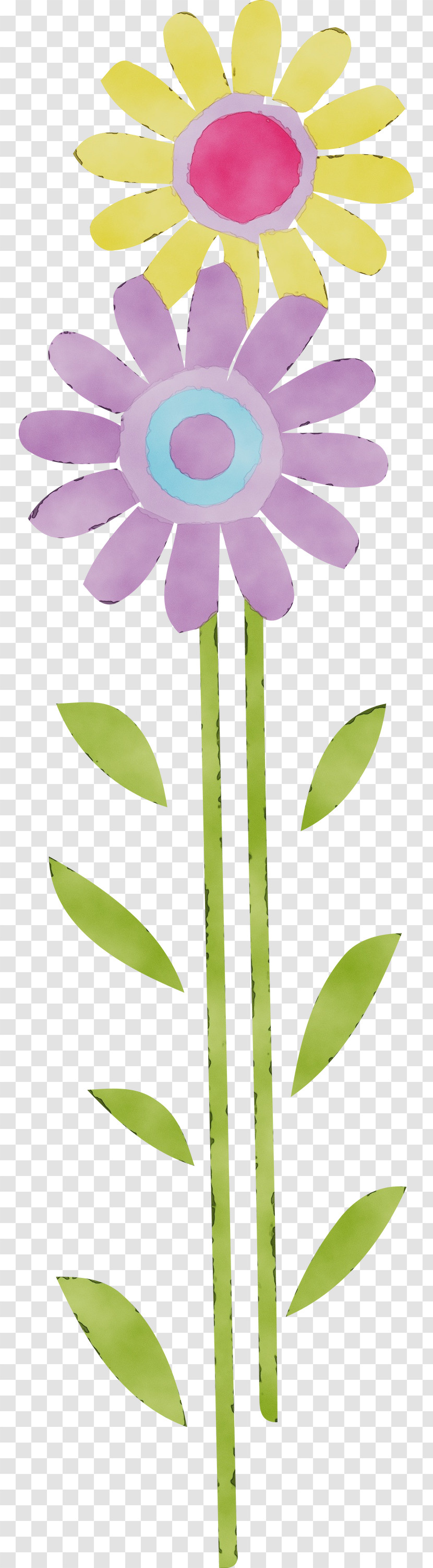 Floral Design Transparent PNG