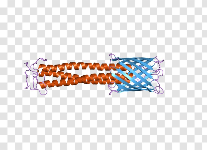 Trimeric Autotransporter Adhesin Bacterial Protein Trimer Haemophilus Influenzae - Outer Membrane Transparent PNG