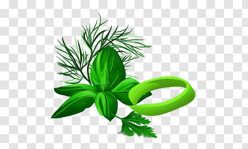 Vegetable - Alternative Medicine - Cartoon Grass Transparent PNG