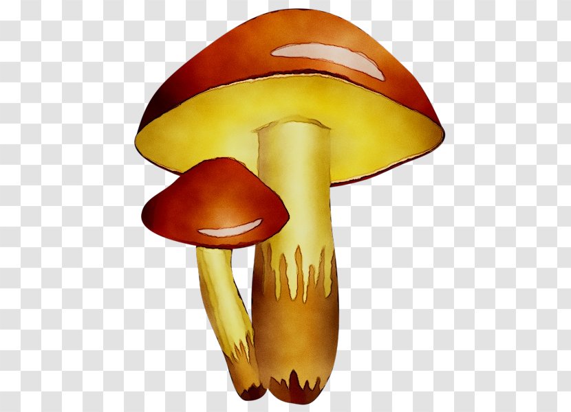 Clip Art Mushroom Product Design Free Content - Presentation - Project Transparent PNG