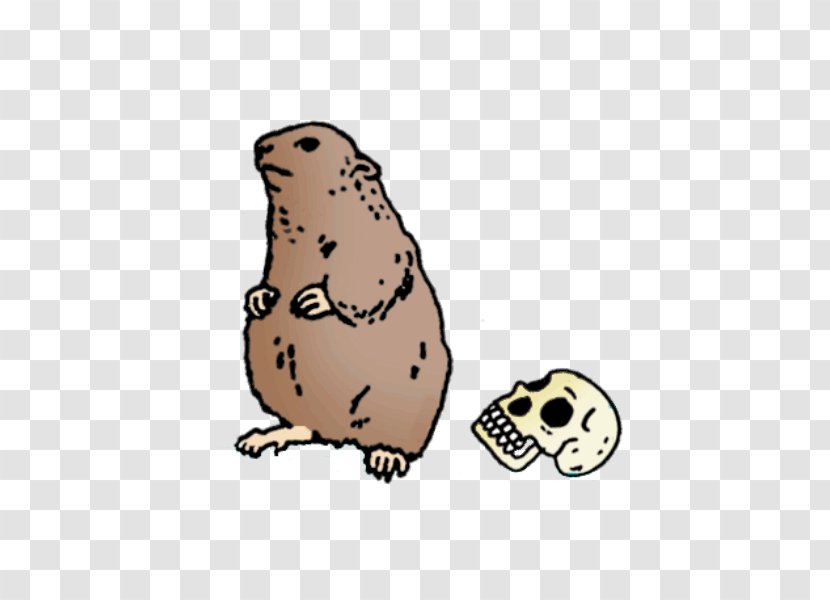 Poetry Bear Beaver Rodent - Dog Like Mammal - Hamster Transparent PNG