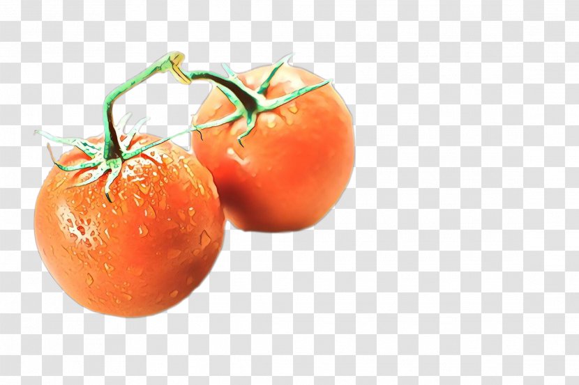 Plum Tomato Bush Food Mandarin Orange - Plant - Fruit Transparent PNG