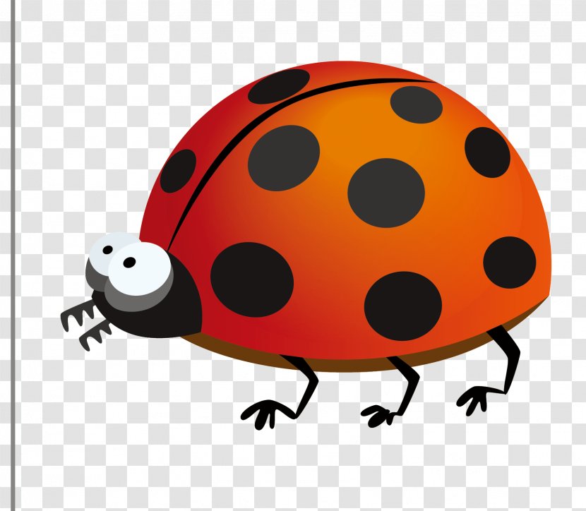 Insect Cartoon Clip Art - Drawing - Ladybug Transparent PNG