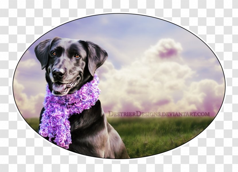 Dog Breed Puppy Sporting Group Snout Transparent PNG