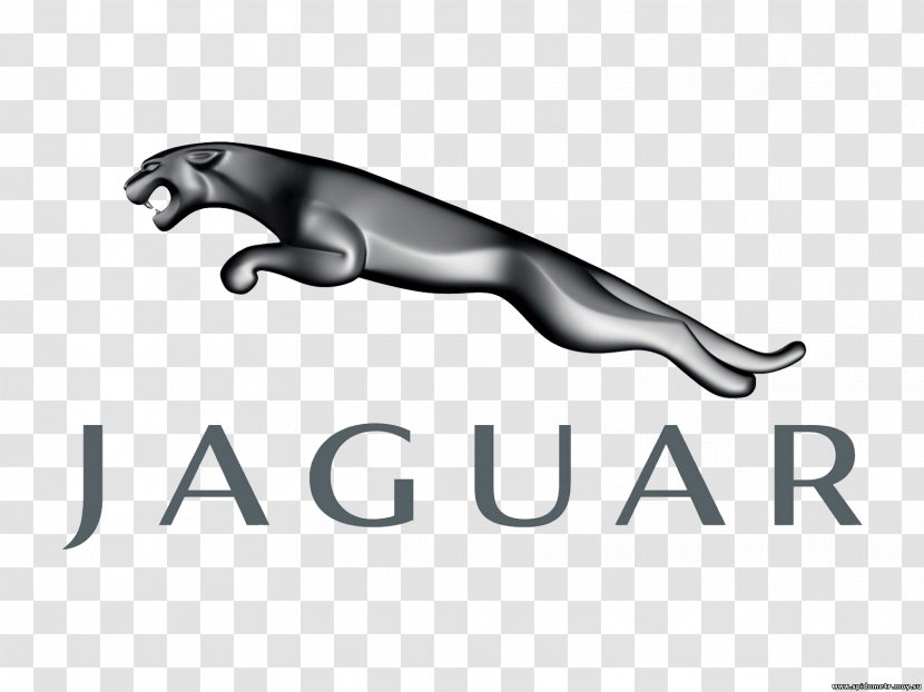 Jaguar Cars Sports Car XK Transparent PNG