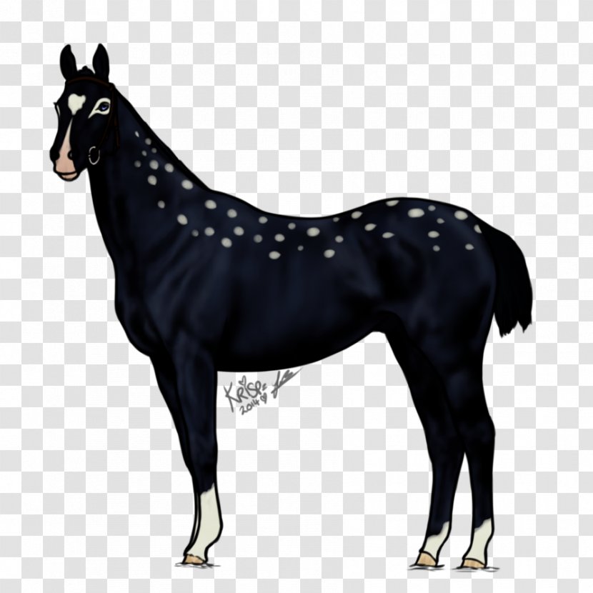 Mule DeviantArt Foal Artist - Stallion - Flint Lockwood Transparent PNG