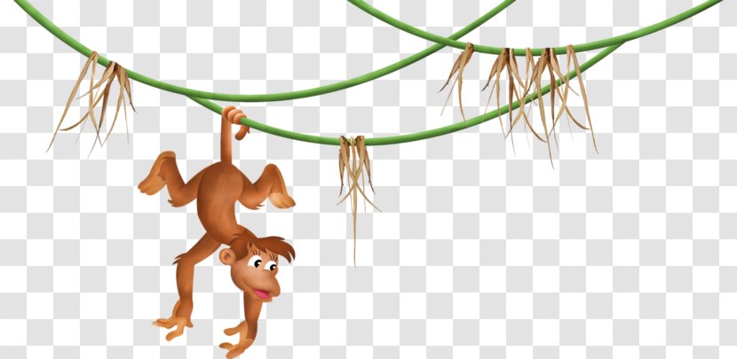 Monkey - Organism - Cartoon Transparent PNG