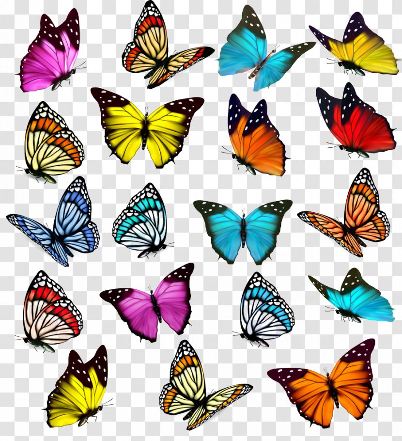 Butterfly Royalty-free Clip Art - Monarch Transparent PNG