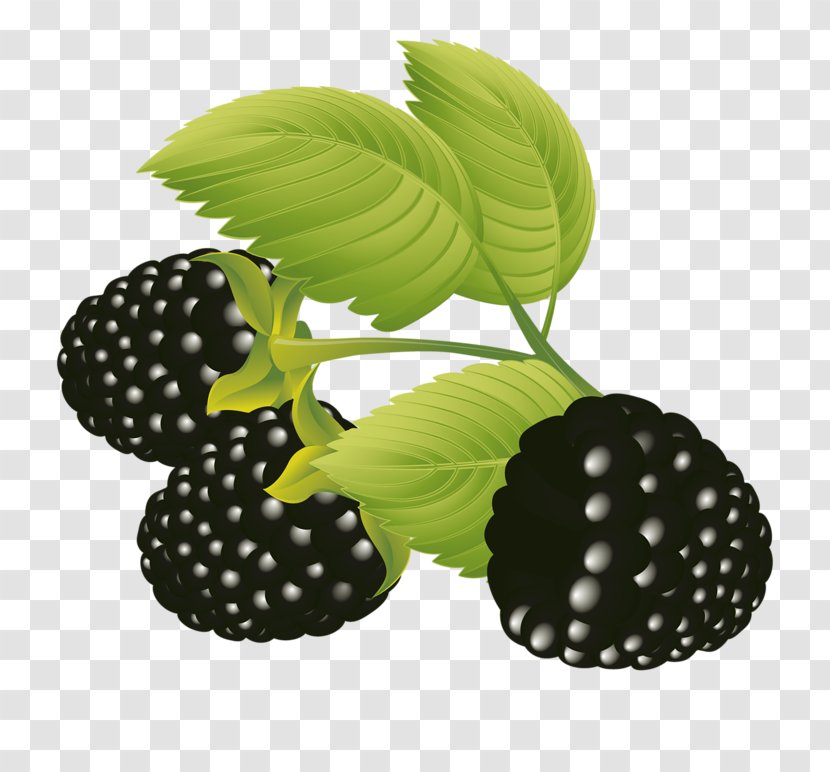 Frutti Di Bosco Fruit Blackberry Clip Art - Produce - Raspberry Transparent PNG