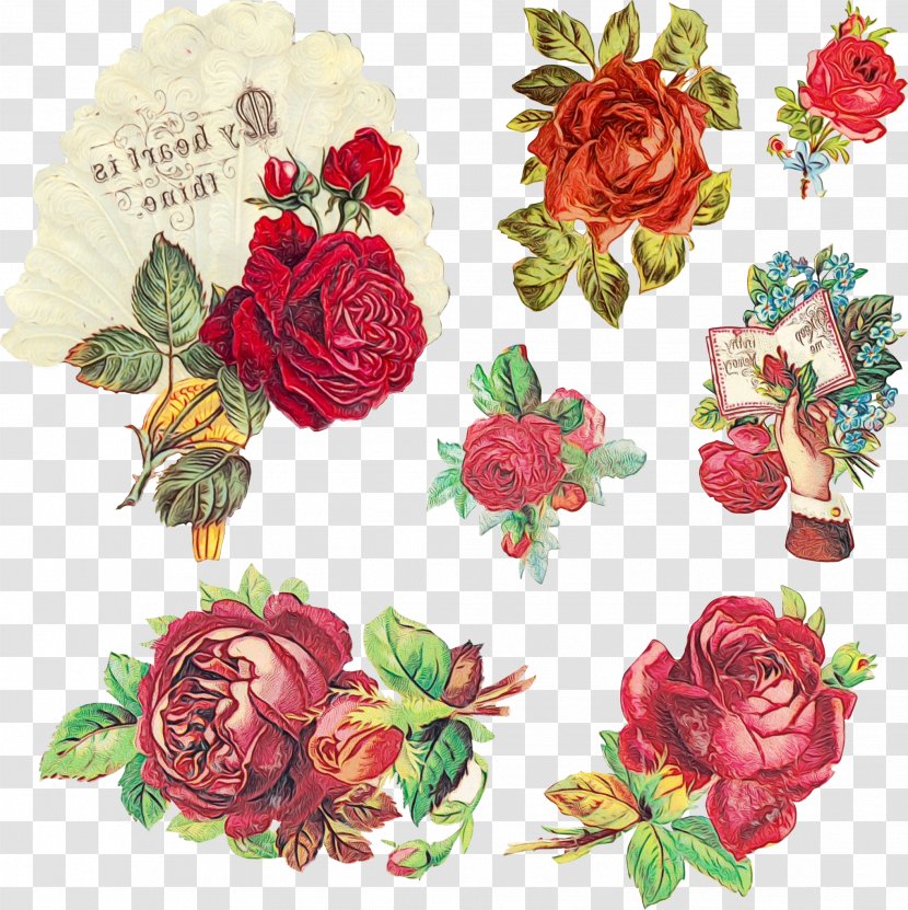 Watercolor Floral Background - Cut Flowers - Bouquet Camellia Transparent PNG