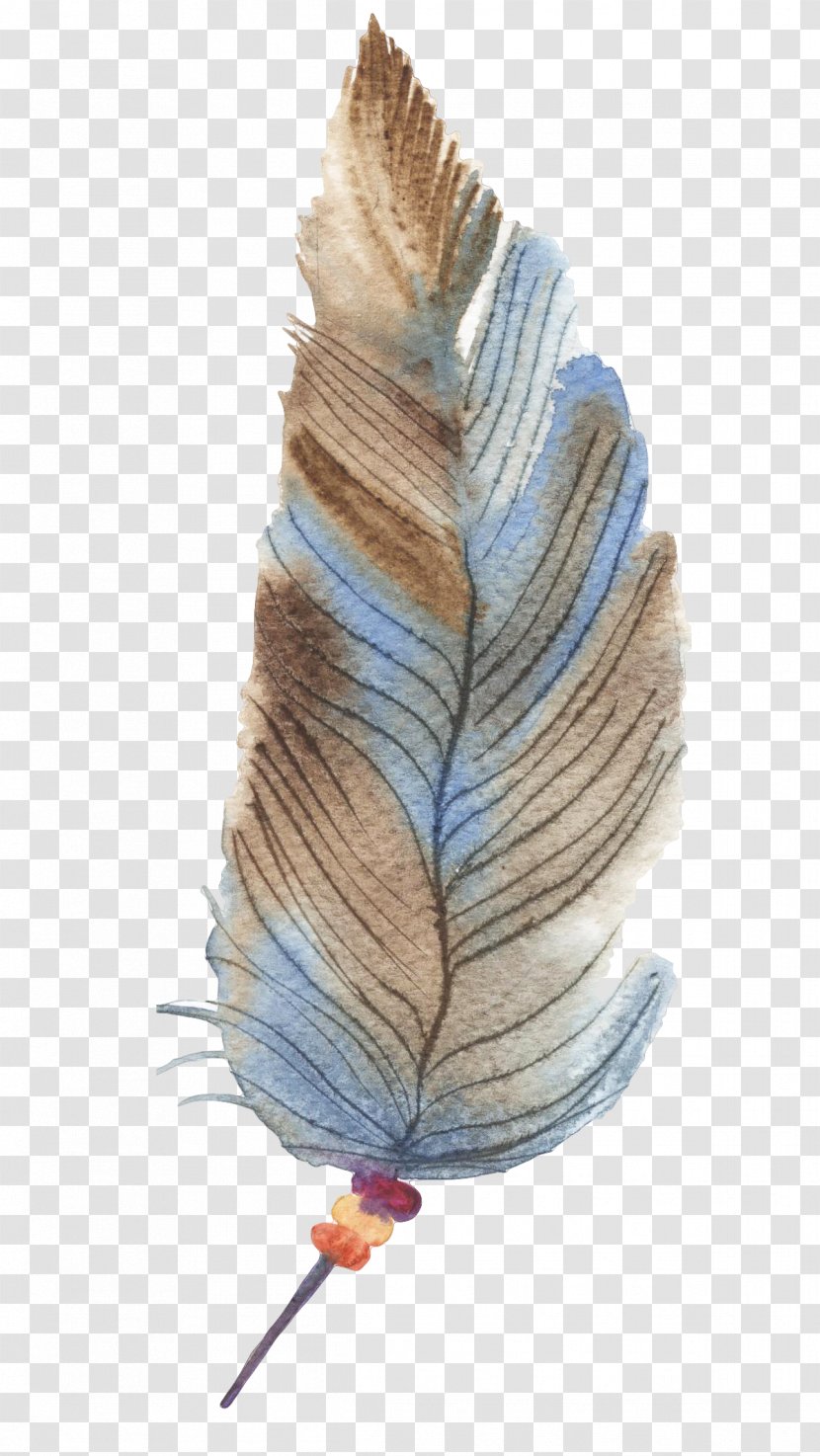 Feather Drawing - Designer - Hand-painted Feathers Transparent PNG