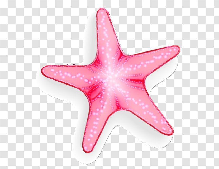 Starfish Pink Marine Invertebrates Star - Wet Ink Transparent PNG
