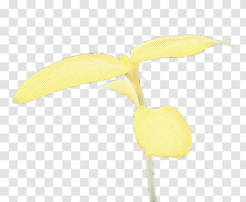 Banana Cartoon - Flower - Arum Family Tulip Transparent PNG