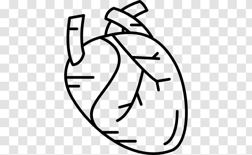 Heart Human Body - Flower Transparent PNG