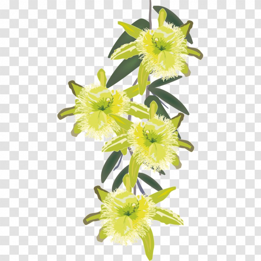 Cut Flowers Euclidean Vector Illustration - Art - Hand Painted Plants Transparent PNG