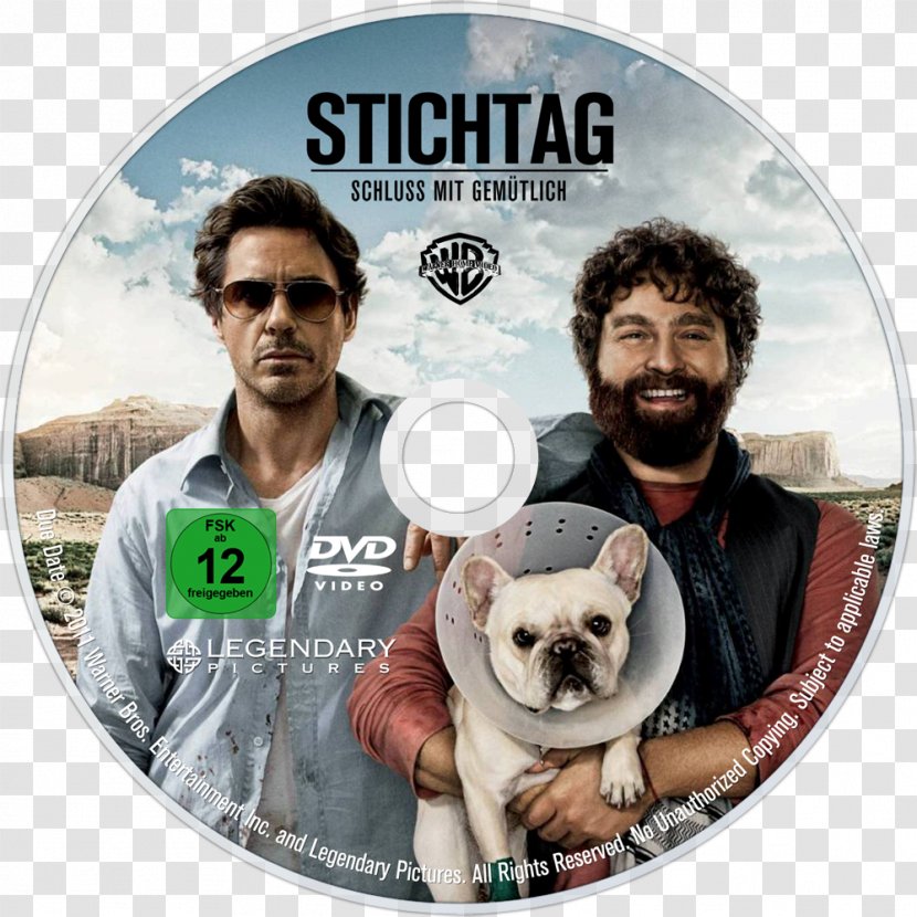 Todd Phillips Zach Galifianakis Due Date Peter Highman Going In Style - Dog Breed Transparent PNG